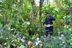 BIB: 
                            <button type="button" onclick="openModal(6882532)" class="btn btn-primary btn-sm float-right btn-popup" data-toggle="modal" data-target=".modal-high-quality">
                        <i class="fas fa-shopping-cart"></i> Add to Cart
                    </button>
                                            <button type="button" onclick="isThisMe(6882532, true)" class="btn btn-success btn-sm float-right btn-popup btn-isme hidden" data-toggle="tooltip" data-placement="bottom" title="นี่คือรูปของคุณใช่ไหม คลิกที่นี่เพื่อเอาเข้าอัลบั้ม">
                        <i class="fas fa-plus"></i> Add to album
                    </button>
                    <button type="button" onclick="isThisMe(6882532, false)" class="btn btn-warning btn-sm float-right btn-popup btn-isnotme hidden">
                        <i class="fas fa-ban"></i> Remove from album
                    </button>