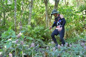 BIB: 
                            <button type="button" onclick="openModal(6881176)" class="btn btn-primary btn-sm float-right btn-popup" data-toggle="modal" data-target=".modal-high-quality">
                        <i class="fas fa-shopping-cart"></i> Add to Cart
                    </button>
                                            <button type="button" onclick="isThisMe(6881176, true)" class="btn btn-success btn-sm float-right btn-popup btn-isme hidden" data-toggle="tooltip" data-placement="bottom" title="นี่คือรูปของคุณใช่ไหม คลิกที่นี่เพื่อเอาเข้าอัลบั้ม">
                        <i class="fas fa-plus"></i> Add to album
                    </button>
                    <button type="button" onclick="isThisMe(6881176, false)" class="btn btn-warning btn-sm float-right btn-popup btn-isnotme hidden">
                        <i class="fas fa-ban"></i> Remove from album
                    </button>