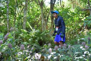 BIB: 
                            <button type="button" onclick="openModal(6883189)" class="btn btn-primary btn-sm float-right btn-popup" data-toggle="modal" data-target=".modal-high-quality">
                        <i class="fas fa-shopping-cart"></i> Add to Cart
                    </button>
                                            <button type="button" onclick="isThisMe(6883189, true)" class="btn btn-success btn-sm float-right btn-popup btn-isme hidden" data-toggle="tooltip" data-placement="bottom" title="นี่คือรูปของคุณใช่ไหม คลิกที่นี่เพื่อเอาเข้าอัลบั้ม">
                        <i class="fas fa-plus"></i> Add to album
                    </button>
                    <button type="button" onclick="isThisMe(6883189, false)" class="btn btn-warning btn-sm float-right btn-popup btn-isnotme hidden">
                        <i class="fas fa-ban"></i> Remove from album
                    </button>