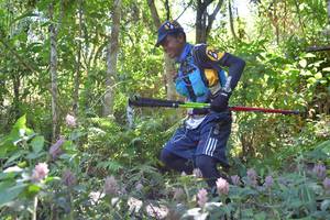 BIB: 
                            <button type="button" onclick="openModal(6881713)" class="btn btn-primary btn-sm float-right btn-popup" data-toggle="modal" data-target=".modal-high-quality">
                        <i class="fas fa-shopping-cart"></i> Add to Cart
                    </button>
                                            <button type="button" onclick="isThisMe(6881713, true)" class="btn btn-success btn-sm float-right btn-popup btn-isme hidden" data-toggle="tooltip" data-placement="bottom" title="นี่คือรูปของคุณใช่ไหม คลิกที่นี่เพื่อเอาเข้าอัลบั้ม">
                        <i class="fas fa-plus"></i> Add to album
                    </button>
                    <button type="button" onclick="isThisMe(6881713, false)" class="btn btn-warning btn-sm float-right btn-popup btn-isnotme hidden">
                        <i class="fas fa-ban"></i> Remove from album
                    </button>