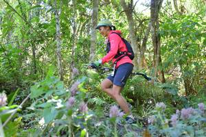 BIB: 
                            <button type="button" onclick="openModal(6881980)" class="btn btn-primary btn-sm float-right btn-popup" data-toggle="modal" data-target=".modal-high-quality">
                        <i class="fas fa-shopping-cart"></i> Add to Cart
                    </button>
                                            <button type="button" onclick="isThisMe(6881980, true)" class="btn btn-success btn-sm float-right btn-popup btn-isme hidden" data-toggle="tooltip" data-placement="bottom" title="นี่คือรูปของคุณใช่ไหม คลิกที่นี่เพื่อเอาเข้าอัลบั้ม">
                        <i class="fas fa-plus"></i> Add to album
                    </button>
                    <button type="button" onclick="isThisMe(6881980, false)" class="btn btn-warning btn-sm float-right btn-popup btn-isnotme hidden">
                        <i class="fas fa-ban"></i> Remove from album
                    </button>