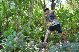 BIB: 4380
                            <button type="button" onclick="openModal(6883596)" class="btn btn-primary btn-sm float-right btn-popup" data-toggle="modal" data-target=".modal-high-quality">
                        <i class="fas fa-shopping-cart"></i> Add to Cart
                    </button>
                                            <button type="button" onclick="isThisMe(6883596, true)" class="btn btn-success btn-sm float-right btn-popup btn-isme hidden" data-toggle="tooltip" data-placement="bottom" title="นี่คือรูปของคุณใช่ไหม คลิกที่นี่เพื่อเอาเข้าอัลบั้ม">
                        <i class="fas fa-plus"></i> Add to album
                    </button>
                    <button type="button" onclick="isThisMe(6883596, false)" class="btn btn-warning btn-sm float-right btn-popup btn-isnotme hidden">
                        <i class="fas fa-ban"></i> Remove from album
                    </button>