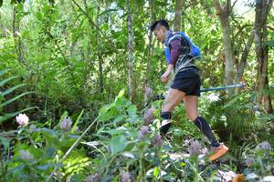 BIB: 
                            <button type="button" onclick="openModal(6881240)" class="btn btn-primary btn-sm float-right btn-popup" data-toggle="modal" data-target=".modal-high-quality">
                        <i class="fas fa-shopping-cart"></i> Add to Cart
                    </button>
                                            <button type="button" onclick="isThisMe(6881240, true)" class="btn btn-success btn-sm float-right btn-popup btn-isme hidden" data-toggle="tooltip" data-placement="bottom" title="นี่คือรูปของคุณใช่ไหม คลิกที่นี่เพื่อเอาเข้าอัลบั้ม">
                        <i class="fas fa-plus"></i> Add to album
                    </button>
                    <button type="button" onclick="isThisMe(6881240, false)" class="btn btn-warning btn-sm float-right btn-popup btn-isnotme hidden">
                        <i class="fas fa-ban"></i> Remove from album
                    </button>