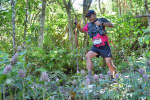 BIB: 4147
                            <button type="button" onclick="openModal(6867643)" class="btn btn-primary btn-sm float-right btn-popup" data-toggle="modal" data-target=".modal-high-quality">
                        <i class="fas fa-shopping-cart"></i> Add to Cart
                    </button>
                                            <button type="button" onclick="isThisMe(6867643, true)" class="btn btn-success btn-sm float-right btn-popup btn-isme hidden" data-toggle="tooltip" data-placement="bottom" title="นี่คือรูปของคุณใช่ไหม คลิกที่นี่เพื่อเอาเข้าอัลบั้ม">
                        <i class="fas fa-plus"></i> Add to album
                    </button>
                    <button type="button" onclick="isThisMe(6867643, false)" class="btn btn-warning btn-sm float-right btn-popup btn-isnotme hidden">
                        <i class="fas fa-ban"></i> Remove from album
                    </button>