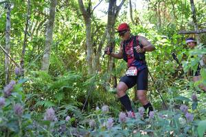 BIB: 7021, 
                            <button type="button" onclick="openModal(6866830)" class="btn btn-primary btn-sm float-right btn-popup" data-toggle="modal" data-target=".modal-high-quality">
                        <i class="fas fa-shopping-cart"></i> Add to Cart
                    </button>
                                            <button type="button" onclick="isThisMe(6866830, true)" class="btn btn-success btn-sm float-right btn-popup btn-isme hidden" data-toggle="tooltip" data-placement="bottom" title="นี่คือรูปของคุณใช่ไหม คลิกที่นี่เพื่อเอาเข้าอัลบั้ม">
                        <i class="fas fa-plus"></i> Add to album
                    </button>
                    <button type="button" onclick="isThisMe(6866830, false)" class="btn btn-warning btn-sm float-right btn-popup btn-isnotme hidden">
                        <i class="fas fa-ban"></i> Remove from album
                    </button>