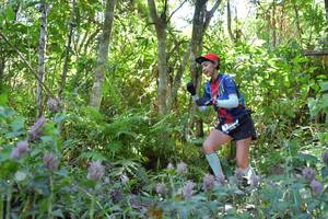 BIB: 
                            <button type="button" onclick="openModal(6866855)" class="btn btn-primary btn-sm float-right btn-popup" data-toggle="modal" data-target=".modal-high-quality">
                        <i class="fas fa-shopping-cart"></i> Add to Cart
                    </button>
                                            <button type="button" onclick="isThisMe(6866855, true)" class="btn btn-success btn-sm float-right btn-popup btn-isme hidden" data-toggle="tooltip" data-placement="bottom" title="นี่คือรูปของคุณใช่ไหม คลิกที่นี่เพื่อเอาเข้าอัลบั้ม">
                        <i class="fas fa-plus"></i> Add to album
                    </button>
                    <button type="button" onclick="isThisMe(6866855, false)" class="btn btn-warning btn-sm float-right btn-popup btn-isnotme hidden">
                        <i class="fas fa-ban"></i> Remove from album
                    </button>