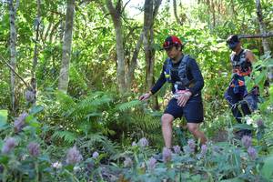 BIB: 
                            <button type="button" onclick="openModal(6866447)" class="btn btn-primary btn-sm float-right btn-popup" data-toggle="modal" data-target=".modal-high-quality">
                        <i class="fas fa-shopping-cart"></i> Add to Cart
                    </button>
                                            <button type="button" onclick="isThisMe(6866447, true)" class="btn btn-success btn-sm float-right btn-popup btn-isme hidden" data-toggle="tooltip" data-placement="bottom" title="นี่คือรูปของคุณใช่ไหม คลิกที่นี่เพื่อเอาเข้าอัลบั้ม">
                        <i class="fas fa-plus"></i> Add to album
                    </button>
                    <button type="button" onclick="isThisMe(6866447, false)" class="btn btn-warning btn-sm float-right btn-popup btn-isnotme hidden">
                        <i class="fas fa-ban"></i> Remove from album
                    </button>