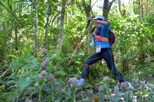 BIB: 
                            <button type="button" onclick="openModal(6866599)" class="btn btn-primary btn-sm float-right btn-popup" data-toggle="modal" data-target=".modal-high-quality">
                        <i class="fas fa-shopping-cart"></i> Add to Cart
                    </button>
                                            <button type="button" onclick="isThisMe(6866599, true)" class="btn btn-success btn-sm float-right btn-popup btn-isme hidden" data-toggle="tooltip" data-placement="bottom" title="นี่คือรูปของคุณใช่ไหม คลิกที่นี่เพื่อเอาเข้าอัลบั้ม">
                        <i class="fas fa-plus"></i> Add to album
                    </button>
                    <button type="button" onclick="isThisMe(6866599, false)" class="btn btn-warning btn-sm float-right btn-popup btn-isnotme hidden">
                        <i class="fas fa-ban"></i> Remove from album
                    </button>