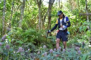 BIB: 
                            <button type="button" onclick="openModal(6867272)" class="btn btn-primary btn-sm float-right btn-popup" data-toggle="modal" data-target=".modal-high-quality">
                        <i class="fas fa-shopping-cart"></i> Add to Cart
                    </button>
                                            <button type="button" onclick="isThisMe(6867272, true)" class="btn btn-success btn-sm float-right btn-popup btn-isme hidden" data-toggle="tooltip" data-placement="bottom" title="นี่คือรูปของคุณใช่ไหม คลิกที่นี่เพื่อเอาเข้าอัลบั้ม">
                        <i class="fas fa-plus"></i> Add to album
                    </button>
                    <button type="button" onclick="isThisMe(6867272, false)" class="btn btn-warning btn-sm float-right btn-popup btn-isnotme hidden">
                        <i class="fas fa-ban"></i> Remove from album
                    </button>