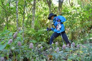 BIB: 
                            <button type="button" onclick="openModal(6866473)" class="btn btn-primary btn-sm float-right btn-popup" data-toggle="modal" data-target=".modal-high-quality">
                        <i class="fas fa-shopping-cart"></i> Add to Cart
                    </button>
                                            <button type="button" onclick="isThisMe(6866473, true)" class="btn btn-success btn-sm float-right btn-popup btn-isme hidden" data-toggle="tooltip" data-placement="bottom" title="นี่คือรูปของคุณใช่ไหม คลิกที่นี่เพื่อเอาเข้าอัลบั้ม">
                        <i class="fas fa-plus"></i> Add to album
                    </button>
                    <button type="button" onclick="isThisMe(6866473, false)" class="btn btn-warning btn-sm float-right btn-popup btn-isnotme hidden">
                        <i class="fas fa-ban"></i> Remove from album
                    </button>