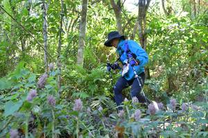 BIB: 
                            <button type="button" onclick="openModal(6866366)" class="btn btn-primary btn-sm float-right btn-popup" data-toggle="modal" data-target=".modal-high-quality">
                        <i class="fas fa-shopping-cart"></i> Add to Cart
                    </button>
                                            <button type="button" onclick="isThisMe(6866366, true)" class="btn btn-success btn-sm float-right btn-popup btn-isme hidden" data-toggle="tooltip" data-placement="bottom" title="นี่คือรูปของคุณใช่ไหม คลิกที่นี่เพื่อเอาเข้าอัลบั้ม">
                        <i class="fas fa-plus"></i> Add to album
                    </button>
                    <button type="button" onclick="isThisMe(6866366, false)" class="btn btn-warning btn-sm float-right btn-popup btn-isnotme hidden">
                        <i class="fas fa-ban"></i> Remove from album
                    </button>