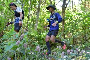 BIB: 
                            <button type="button" onclick="openModal(6866377)" class="btn btn-primary btn-sm float-right btn-popup" data-toggle="modal" data-target=".modal-high-quality">
                        <i class="fas fa-shopping-cart"></i> Add to Cart
                    </button>
                                            <button type="button" onclick="isThisMe(6866377, true)" class="btn btn-success btn-sm float-right btn-popup btn-isme hidden" data-toggle="tooltip" data-placement="bottom" title="นี่คือรูปของคุณใช่ไหม คลิกที่นี่เพื่อเอาเข้าอัลบั้ม">
                        <i class="fas fa-plus"></i> Add to album
                    </button>
                    <button type="button" onclick="isThisMe(6866377, false)" class="btn btn-warning btn-sm float-right btn-popup btn-isnotme hidden">
                        <i class="fas fa-ban"></i> Remove from album
                    </button>