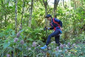 BIB: 
                            <button type="button" onclick="openModal(6866775)" class="btn btn-primary btn-sm float-right btn-popup" data-toggle="modal" data-target=".modal-high-quality">
                        <i class="fas fa-shopping-cart"></i> Add to Cart
                    </button>
                                            <button type="button" onclick="isThisMe(6866775, true)" class="btn btn-success btn-sm float-right btn-popup btn-isme hidden" data-toggle="tooltip" data-placement="bottom" title="นี่คือรูปของคุณใช่ไหม คลิกที่นี่เพื่อเอาเข้าอัลบั้ม">
                        <i class="fas fa-plus"></i> Add to album
                    </button>
                    <button type="button" onclick="isThisMe(6866775, false)" class="btn btn-warning btn-sm float-right btn-popup btn-isnotme hidden">
                        <i class="fas fa-ban"></i> Remove from album
                    </button>