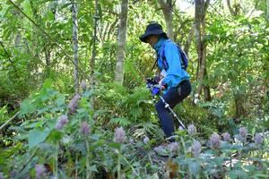 BIB: 
                            <button type="button" onclick="openModal(6866627)" class="btn btn-primary btn-sm float-right btn-popup" data-toggle="modal" data-target=".modal-high-quality">
                        <i class="fas fa-shopping-cart"></i> Add to Cart
                    </button>
                                            <button type="button" onclick="isThisMe(6866627, true)" class="btn btn-success btn-sm float-right btn-popup btn-isme hidden" data-toggle="tooltip" data-placement="bottom" title="นี่คือรูปของคุณใช่ไหม คลิกที่นี่เพื่อเอาเข้าอัลบั้ม">
                        <i class="fas fa-plus"></i> Add to album
                    </button>
                    <button type="button" onclick="isThisMe(6866627, false)" class="btn btn-warning btn-sm float-right btn-popup btn-isnotme hidden">
                        <i class="fas fa-ban"></i> Remove from album
                    </button>