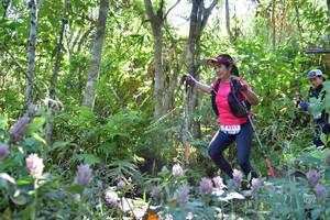 BIB: 
                            <button type="button" onclick="openModal(6862337)" class="btn btn-primary btn-sm float-right btn-popup" data-toggle="modal" data-target=".modal-high-quality">
                        <i class="fas fa-shopping-cart"></i> Add to Cart
                    </button>
                                            <button type="button" onclick="isThisMe(6862337, true)" class="btn btn-success btn-sm float-right btn-popup btn-isme hidden" data-toggle="tooltip" data-placement="bottom" title="นี่คือรูปของคุณใช่ไหม คลิกที่นี่เพื่อเอาเข้าอัลบั้ม">
                        <i class="fas fa-plus"></i> Add to album
                    </button>
                    <button type="button" onclick="isThisMe(6862337, false)" class="btn btn-warning btn-sm float-right btn-popup btn-isnotme hidden">
                        <i class="fas fa-ban"></i> Remove from album
                    </button>