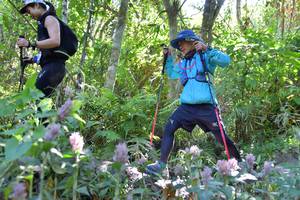 BIB: 
                            <button type="button" onclick="openModal(6863123)" class="btn btn-primary btn-sm float-right btn-popup" data-toggle="modal" data-target=".modal-high-quality">
                        <i class="fas fa-shopping-cart"></i> Add to Cart
                    </button>
                                            <button type="button" onclick="isThisMe(6863123, true)" class="btn btn-success btn-sm float-right btn-popup btn-isme hidden" data-toggle="tooltip" data-placement="bottom" title="นี่คือรูปของคุณใช่ไหม คลิกที่นี่เพื่อเอาเข้าอัลบั้ม">
                        <i class="fas fa-plus"></i> Add to album
                    </button>
                    <button type="button" onclick="isThisMe(6863123, false)" class="btn btn-warning btn-sm float-right btn-popup btn-isnotme hidden">
                        <i class="fas fa-ban"></i> Remove from album
                    </button>