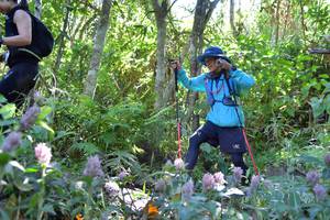 BIB: 
                            <button type="button" onclick="openModal(6862694)" class="btn btn-primary btn-sm float-right btn-popup" data-toggle="modal" data-target=".modal-high-quality">
                        <i class="fas fa-shopping-cart"></i> Add to Cart
                    </button>
                                            <button type="button" onclick="isThisMe(6862694, true)" class="btn btn-success btn-sm float-right btn-popup btn-isme hidden" data-toggle="tooltip" data-placement="bottom" title="นี่คือรูปของคุณใช่ไหม คลิกที่นี่เพื่อเอาเข้าอัลบั้ม">
                        <i class="fas fa-plus"></i> Add to album
                    </button>
                    <button type="button" onclick="isThisMe(6862694, false)" class="btn btn-warning btn-sm float-right btn-popup btn-isnotme hidden">
                        <i class="fas fa-ban"></i> Remove from album
                    </button>