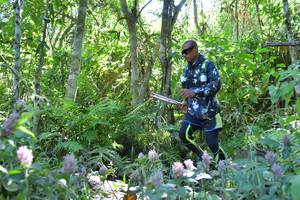 BIB: 
                            <button type="button" onclick="openModal(6863197)" class="btn btn-primary btn-sm float-right btn-popup" data-toggle="modal" data-target=".modal-high-quality">
                        <i class="fas fa-shopping-cart"></i> Add to Cart
                    </button>
                                            <button type="button" onclick="isThisMe(6863197, true)" class="btn btn-success btn-sm float-right btn-popup btn-isme hidden" data-toggle="tooltip" data-placement="bottom" title="นี่คือรูปของคุณใช่ไหม คลิกที่นี่เพื่อเอาเข้าอัลบั้ม">
                        <i class="fas fa-plus"></i> Add to album
                    </button>
                    <button type="button" onclick="isThisMe(6863197, false)" class="btn btn-warning btn-sm float-right btn-popup btn-isnotme hidden">
                        <i class="fas fa-ban"></i> Remove from album
                    </button>