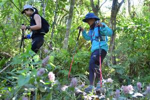 BIB: 
                            <button type="button" onclick="openModal(6863483)" class="btn btn-primary btn-sm float-right btn-popup" data-toggle="modal" data-target=".modal-high-quality">
                        <i class="fas fa-shopping-cart"></i> Add to Cart
                    </button>
                                            <button type="button" onclick="isThisMe(6863483, true)" class="btn btn-success btn-sm float-right btn-popup btn-isme hidden" data-toggle="tooltip" data-placement="bottom" title="นี่คือรูปของคุณใช่ไหม คลิกที่นี่เพื่อเอาเข้าอัลบั้ม">
                        <i class="fas fa-plus"></i> Add to album
                    </button>
                    <button type="button" onclick="isThisMe(6863483, false)" class="btn btn-warning btn-sm float-right btn-popup btn-isnotme hidden">
                        <i class="fas fa-ban"></i> Remove from album
                    </button>