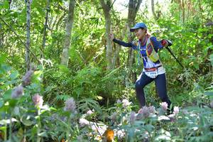 BIB: 1996, 
                            <button type="button" onclick="openModal(6862657)" class="btn btn-primary btn-sm float-right btn-popup" data-toggle="modal" data-target=".modal-high-quality">
                        <i class="fas fa-shopping-cart"></i> Add to Cart
                    </button>
                                            <button type="button" onclick="isThisMe(6862657, true)" class="btn btn-success btn-sm float-right btn-popup btn-isme hidden" data-toggle="tooltip" data-placement="bottom" title="นี่คือรูปของคุณใช่ไหม คลิกที่นี่เพื่อเอาเข้าอัลบั้ม">
                        <i class="fas fa-plus"></i> Add to album
                    </button>
                    <button type="button" onclick="isThisMe(6862657, false)" class="btn btn-warning btn-sm float-right btn-popup btn-isnotme hidden">
                        <i class="fas fa-ban"></i> Remove from album
                    </button>