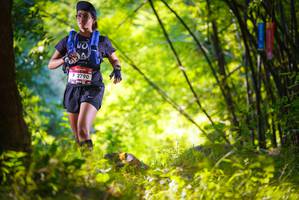 BIB: 2790
                            <button type="button" onclick="openModal(6925458)" class="btn btn-primary btn-sm float-right btn-popup" data-toggle="modal" data-target=".modal-high-quality">
                        <i class="fas fa-shopping-cart"></i> Add to Cart
                    </button>
                                            <button type="button" onclick="isThisMe(6925458, true)" class="btn btn-success btn-sm float-right btn-popup btn-isme hidden" data-toggle="tooltip" data-placement="bottom" title="นี่คือรูปของคุณใช่ไหม คลิกที่นี่เพื่อเอาเข้าอัลบั้ม">
                        <i class="fas fa-plus"></i> Add to album
                    </button>
                    <button type="button" onclick="isThisMe(6925458, false)" class="btn btn-warning btn-sm float-right btn-popup btn-isnotme hidden">
                        <i class="fas fa-ban"></i> Remove from album
                    </button>