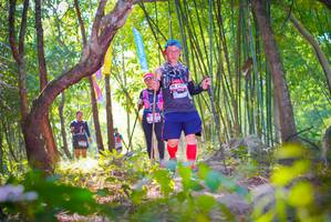 BIB: 
                            <button type="button" onclick="openModal(6954450)" class="btn btn-primary btn-sm float-right btn-popup" data-toggle="modal" data-target=".modal-high-quality">
                        <i class="fas fa-shopping-cart"></i> Add to Cart
                    </button>
                                            <button type="button" onclick="isThisMe(6954450, true)" class="btn btn-success btn-sm float-right btn-popup btn-isme hidden" data-toggle="tooltip" data-placement="bottom" title="นี่คือรูปของคุณใช่ไหม คลิกที่นี่เพื่อเอาเข้าอัลบั้ม">
                        <i class="fas fa-plus"></i> Add to album
                    </button>
                    <button type="button" onclick="isThisMe(6954450, false)" class="btn btn-warning btn-sm float-right btn-popup btn-isnotme hidden">
                        <i class="fas fa-ban"></i> Remove from album
                    </button>