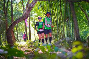 BIB: 
                            <button type="button" onclick="openModal(6954408)" class="btn btn-primary btn-sm float-right btn-popup" data-toggle="modal" data-target=".modal-high-quality">
                        <i class="fas fa-shopping-cart"></i> Add to Cart
                    </button>
                                            <button type="button" onclick="isThisMe(6954408, true)" class="btn btn-success btn-sm float-right btn-popup btn-isme hidden" data-toggle="tooltip" data-placement="bottom" title="นี่คือรูปของคุณใช่ไหม คลิกที่นี่เพื่อเอาเข้าอัลบั้ม">
                        <i class="fas fa-plus"></i> Add to album
                    </button>
                    <button type="button" onclick="isThisMe(6954408, false)" class="btn btn-warning btn-sm float-right btn-popup btn-isnotme hidden">
                        <i class="fas fa-ban"></i> Remove from album
                    </button>