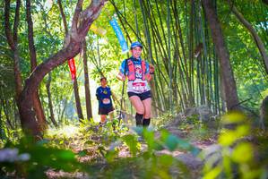 BIB: 2318
                            <button type="button" onclick="openModal(6954492)" class="btn btn-primary btn-sm float-right btn-popup" data-toggle="modal" data-target=".modal-high-quality">
                        <i class="fas fa-shopping-cart"></i> Add to Cart
                    </button>
                                            <button type="button" onclick="isThisMe(6954492, true)" class="btn btn-success btn-sm float-right btn-popup btn-isme hidden" data-toggle="tooltip" data-placement="bottom" title="นี่คือรูปของคุณใช่ไหม คลิกที่นี่เพื่อเอาเข้าอัลบั้ม">
                        <i class="fas fa-plus"></i> Add to album
                    </button>
                    <button type="button" onclick="isThisMe(6954492, false)" class="btn btn-warning btn-sm float-right btn-popup btn-isnotme hidden">
                        <i class="fas fa-ban"></i> Remove from album
                    </button>