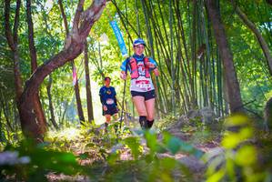 BIB: 2318
                            <button type="button" onclick="openModal(6954491)" class="btn btn-primary btn-sm float-right btn-popup" data-toggle="modal" data-target=".modal-high-quality">
                        <i class="fas fa-shopping-cart"></i> Add to Cart
                    </button>
                                            <button type="button" onclick="isThisMe(6954491, true)" class="btn btn-success btn-sm float-right btn-popup btn-isme hidden" data-toggle="tooltip" data-placement="bottom" title="นี่คือรูปของคุณใช่ไหม คลิกที่นี่เพื่อเอาเข้าอัลบั้ม">
                        <i class="fas fa-plus"></i> Add to album
                    </button>
                    <button type="button" onclick="isThisMe(6954491, false)" class="btn btn-warning btn-sm float-right btn-popup btn-isnotme hidden">
                        <i class="fas fa-ban"></i> Remove from album
                    </button>