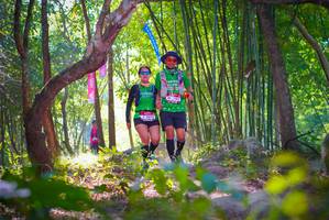 BIB: 2102
                            <button type="button" onclick="openModal(6954405)" class="btn btn-primary btn-sm float-right btn-popup" data-toggle="modal" data-target=".modal-high-quality">
                        <i class="fas fa-shopping-cart"></i> Add to Cart
                    </button>
                                            <button type="button" onclick="isThisMe(6954405, true)" class="btn btn-success btn-sm float-right btn-popup btn-isme hidden" data-toggle="tooltip" data-placement="bottom" title="นี่คือรูปของคุณใช่ไหม คลิกที่นี่เพื่อเอาเข้าอัลบั้ม">
                        <i class="fas fa-plus"></i> Add to album
                    </button>
                    <button type="button" onclick="isThisMe(6954405, false)" class="btn btn-warning btn-sm float-right btn-popup btn-isnotme hidden">
                        <i class="fas fa-ban"></i> Remove from album
                    </button>