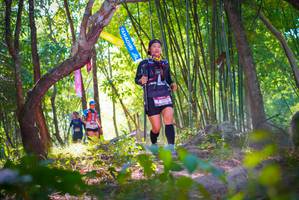 BIB: 
                            <button type="button" onclick="openModal(6954488)" class="btn btn-primary btn-sm float-right btn-popup" data-toggle="modal" data-target=".modal-high-quality">
                        <i class="fas fa-shopping-cart"></i> Add to Cart
                    </button>
                                            <button type="button" onclick="isThisMe(6954488, true)" class="btn btn-success btn-sm float-right btn-popup btn-isme hidden" data-toggle="tooltip" data-placement="bottom" title="นี่คือรูปของคุณใช่ไหม คลิกที่นี่เพื่อเอาเข้าอัลบั้ม">
                        <i class="fas fa-plus"></i> Add to album
                    </button>
                    <button type="button" onclick="isThisMe(6954488, false)" class="btn btn-warning btn-sm float-right btn-popup btn-isnotme hidden">
                        <i class="fas fa-ban"></i> Remove from album
                    </button>