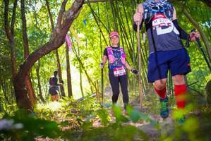 BIB: 2357, 2322, 
                            <button type="button" onclick="openModal(6954453)" class="btn btn-primary btn-sm float-right btn-popup" data-toggle="modal" data-target=".modal-high-quality">
                        <i class="fas fa-shopping-cart"></i> Add to Cart
                    </button>
                                            <button type="button" onclick="isThisMe(6954453, true)" class="btn btn-success btn-sm float-right btn-popup btn-isme hidden" data-toggle="tooltip" data-placement="bottom" title="นี่คือรูปของคุณใช่ไหม คลิกที่นี่เพื่อเอาเข้าอัลบั้ม">
                        <i class="fas fa-plus"></i> Add to album
                    </button>
                    <button type="button" onclick="isThisMe(6954453, false)" class="btn btn-warning btn-sm float-right btn-popup btn-isnotme hidden">
                        <i class="fas fa-ban"></i> Remove from album
                    </button>