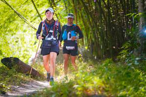 BIB: 
                            <button type="button" onclick="openModal(6952740)" class="btn btn-primary btn-sm float-right btn-popup" data-toggle="modal" data-target=".modal-high-quality">
                        <i class="fas fa-shopping-cart"></i> Add to Cart
                    </button>
                                            <button type="button" onclick="isThisMe(6952740, true)" class="btn btn-success btn-sm float-right btn-popup btn-isme hidden" data-toggle="tooltip" data-placement="bottom" title="นี่คือรูปของคุณใช่ไหม คลิกที่นี่เพื่อเอาเข้าอัลบั้ม">
                        <i class="fas fa-plus"></i> Add to album
                    </button>
                    <button type="button" onclick="isThisMe(6952740, false)" class="btn btn-warning btn-sm float-right btn-popup btn-isnotme hidden">
                        <i class="fas fa-ban"></i> Remove from album
                    </button>