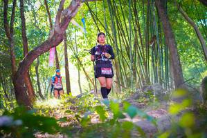 BIB: 
                            <button type="button" onclick="openModal(6954476)" class="btn btn-primary btn-sm float-right btn-popup" data-toggle="modal" data-target=".modal-high-quality">
                        <i class="fas fa-shopping-cart"></i> Add to Cart
                    </button>
                                            <button type="button" onclick="isThisMe(6954476, true)" class="btn btn-success btn-sm float-right btn-popup btn-isme hidden" data-toggle="tooltip" data-placement="bottom" title="นี่คือรูปของคุณใช่ไหม คลิกที่นี่เพื่อเอาเข้าอัลบั้ม">
                        <i class="fas fa-plus"></i> Add to album
                    </button>
                    <button type="button" onclick="isThisMe(6954476, false)" class="btn btn-warning btn-sm float-right btn-popup btn-isnotme hidden">
                        <i class="fas fa-ban"></i> Remove from album
                    </button>