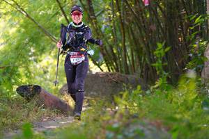 BIB: 
                            <button type="button" onclick="openModal(6945881)" class="btn btn-primary btn-sm float-right btn-popup" data-toggle="modal" data-target=".modal-high-quality">
                        <i class="fas fa-shopping-cart"></i> Add to Cart
                    </button>
                                            <button type="button" onclick="isThisMe(6945881, true)" class="btn btn-success btn-sm float-right btn-popup btn-isme hidden" data-toggle="tooltip" data-placement="bottom" title="นี่คือรูปของคุณใช่ไหม คลิกที่นี่เพื่อเอาเข้าอัลบั้ม">
                        <i class="fas fa-plus"></i> Add to album
                    </button>
                    <button type="button" onclick="isThisMe(6945881, false)" class="btn btn-warning btn-sm float-right btn-popup btn-isnotme hidden">
                        <i class="fas fa-ban"></i> Remove from album
                    </button>