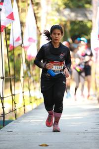 BIB: 1525
                            <button type="button" onclick="openModal(6890234)" class="btn btn-primary btn-sm float-right btn-popup" data-toggle="modal" data-target=".modal-high-quality">
                        <i class="fas fa-shopping-cart"></i> Add to Cart
                    </button>
                                            <button type="button" onclick="isThisMe(6890234, true)" class="btn btn-success btn-sm float-right btn-popup btn-isme hidden" data-toggle="tooltip" data-placement="bottom" title="นี่คือรูปของคุณใช่ไหม คลิกที่นี่เพื่อเอาเข้าอัลบั้ม">
                        <i class="fas fa-plus"></i> Add to album
                    </button>
                    <button type="button" onclick="isThisMe(6890234, false)" class="btn btn-warning btn-sm float-right btn-popup btn-isnotme hidden">
                        <i class="fas fa-ban"></i> Remove from album
                    </button>