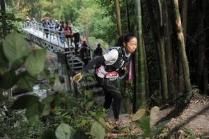 BIB: 
                            <button type="button" onclick="openModal(6868843)" class="btn btn-primary btn-sm float-right btn-popup" data-toggle="modal" data-target=".modal-high-quality">
                        <i class="fas fa-shopping-cart"></i> Add to Cart
                    </button>
                                            <button type="button" onclick="isThisMe(6868843, true)" class="btn btn-success btn-sm float-right btn-popup btn-isme hidden" data-toggle="tooltip" data-placement="bottom" title="นี่คือรูปของคุณใช่ไหม คลิกที่นี่เพื่อเอาเข้าอัลบั้ม">
                        <i class="fas fa-plus"></i> Add to album
                    </button>
                    <button type="button" onclick="isThisMe(6868843, false)" class="btn btn-warning btn-sm float-right btn-popup btn-isnotme hidden">
                        <i class="fas fa-ban"></i> Remove from album
                    </button>