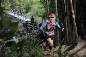 BIB: 
                            <button type="button" onclick="openModal(6868697)" class="btn btn-primary btn-sm float-right btn-popup" data-toggle="modal" data-target=".modal-high-quality">
                        <i class="fas fa-shopping-cart"></i> Add to Cart
                    </button>
                                            <button type="button" onclick="isThisMe(6868697, true)" class="btn btn-success btn-sm float-right btn-popup btn-isme hidden" data-toggle="tooltip" data-placement="bottom" title="นี่คือรูปของคุณใช่ไหม คลิกที่นี่เพื่อเอาเข้าอัลบั้ม">
                        <i class="fas fa-plus"></i> Add to album
                    </button>
                    <button type="button" onclick="isThisMe(6868697, false)" class="btn btn-warning btn-sm float-right btn-popup btn-isnotme hidden">
                        <i class="fas fa-ban"></i> Remove from album
                    </button>