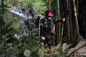 BIB: 
                            <button type="button" onclick="openModal(6869184)" class="btn btn-primary btn-sm float-right btn-popup" data-toggle="modal" data-target=".modal-high-quality">
                        <i class="fas fa-shopping-cart"></i> Add to Cart
                    </button>
                                            <button type="button" onclick="isThisMe(6869184, true)" class="btn btn-success btn-sm float-right btn-popup btn-isme hidden" data-toggle="tooltip" data-placement="bottom" title="นี่คือรูปของคุณใช่ไหม คลิกที่นี่เพื่อเอาเข้าอัลบั้ม">
                        <i class="fas fa-plus"></i> Add to album
                    </button>
                    <button type="button" onclick="isThisMe(6869184, false)" class="btn btn-warning btn-sm float-right btn-popup btn-isnotme hidden">
                        <i class="fas fa-ban"></i> Remove from album
                    </button>