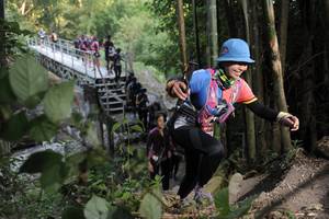 BIB: 
                            <button type="button" onclick="openModal(6872041)" class="btn btn-primary btn-sm float-right btn-popup" data-toggle="modal" data-target=".modal-high-quality">
                        <i class="fas fa-shopping-cart"></i> Add to Cart
                    </button>
                                            <button type="button" onclick="isThisMe(6872041, true)" class="btn btn-success btn-sm float-right btn-popup btn-isme hidden" data-toggle="tooltip" data-placement="bottom" title="นี่คือรูปของคุณใช่ไหม คลิกที่นี่เพื่อเอาเข้าอัลบั้ม">
                        <i class="fas fa-plus"></i> Add to album
                    </button>
                    <button type="button" onclick="isThisMe(6872041, false)" class="btn btn-warning btn-sm float-right btn-popup btn-isnotme hidden">
                        <i class="fas fa-ban"></i> Remove from album
                    </button>