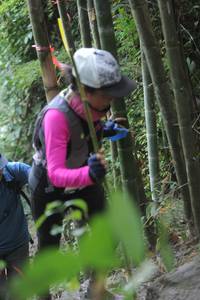 BIB: 
                            <button type="button" onclick="openModal(6876162)" class="btn btn-primary btn-sm float-right btn-popup" data-toggle="modal" data-target=".modal-high-quality">
                        <i class="fas fa-shopping-cart"></i> Add to Cart
                    </button>
                                            <button type="button" onclick="isThisMe(6876162, true)" class="btn btn-success btn-sm float-right btn-popup btn-isme hidden" data-toggle="tooltip" data-placement="bottom" title="นี่คือรูปของคุณใช่ไหม คลิกที่นี่เพื่อเอาเข้าอัลบั้ม">
                        <i class="fas fa-plus"></i> Add to album
                    </button>
                    <button type="button" onclick="isThisMe(6876162, false)" class="btn btn-warning btn-sm float-right btn-popup btn-isnotme hidden">
                        <i class="fas fa-ban"></i> Remove from album
                    </button>