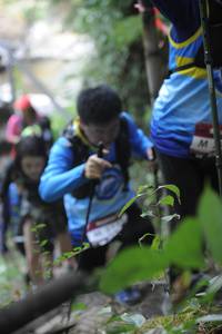 BIB: 
                            <button type="button" onclick="openModal(6875332)" class="btn btn-primary btn-sm float-right btn-popup" data-toggle="modal" data-target=".modal-high-quality">
                        <i class="fas fa-shopping-cart"></i> Add to Cart
                    </button>
                                            <button type="button" onclick="isThisMe(6875332, true)" class="btn btn-success btn-sm float-right btn-popup btn-isme hidden" data-toggle="tooltip" data-placement="bottom" title="นี่คือรูปของคุณใช่ไหม คลิกที่นี่เพื่อเอาเข้าอัลบั้ม">
                        <i class="fas fa-plus"></i> Add to album
                    </button>
                    <button type="button" onclick="isThisMe(6875332, false)" class="btn btn-warning btn-sm float-right btn-popup btn-isnotme hidden">
                        <i class="fas fa-ban"></i> Remove from album
                    </button>