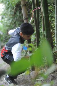 BIB: 
                            <button type="button" onclick="openModal(6876238)" class="btn btn-primary btn-sm float-right btn-popup" data-toggle="modal" data-target=".modal-high-quality">
                        <i class="fas fa-shopping-cart"></i> Add to Cart
                    </button>
                                            <button type="button" onclick="isThisMe(6876238, true)" class="btn btn-success btn-sm float-right btn-popup btn-isme hidden" data-toggle="tooltip" data-placement="bottom" title="นี่คือรูปของคุณใช่ไหม คลิกที่นี่เพื่อเอาเข้าอัลบั้ม">
                        <i class="fas fa-plus"></i> Add to album
                    </button>
                    <button type="button" onclick="isThisMe(6876238, false)" class="btn btn-warning btn-sm float-right btn-popup btn-isnotme hidden">
                        <i class="fas fa-ban"></i> Remove from album
                    </button>