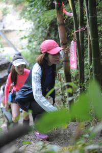 BIB: 
                            <button type="button" onclick="openModal(6875922)" class="btn btn-primary btn-sm float-right btn-popup" data-toggle="modal" data-target=".modal-high-quality">
                        <i class="fas fa-shopping-cart"></i> Add to Cart
                    </button>
                                            <button type="button" onclick="isThisMe(6875922, true)" class="btn btn-success btn-sm float-right btn-popup btn-isme hidden" data-toggle="tooltip" data-placement="bottom" title="นี่คือรูปของคุณใช่ไหม คลิกที่นี่เพื่อเอาเข้าอัลบั้ม">
                        <i class="fas fa-plus"></i> Add to album
                    </button>
                    <button type="button" onclick="isThisMe(6875922, false)" class="btn btn-warning btn-sm float-right btn-popup btn-isnotme hidden">
                        <i class="fas fa-ban"></i> Remove from album
                    </button>