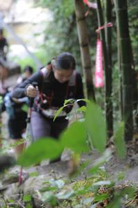 BIB: 
                            <button type="button" onclick="openModal(6875529)" class="btn btn-primary btn-sm float-right btn-popup" data-toggle="modal" data-target=".modal-high-quality">
                        <i class="fas fa-shopping-cart"></i> Add to Cart
                    </button>
                                            <button type="button" onclick="isThisMe(6875529, true)" class="btn btn-success btn-sm float-right btn-popup btn-isme hidden" data-toggle="tooltip" data-placement="bottom" title="นี่คือรูปของคุณใช่ไหม คลิกที่นี่เพื่อเอาเข้าอัลบั้ม">
                        <i class="fas fa-plus"></i> Add to album
                    </button>
                    <button type="button" onclick="isThisMe(6875529, false)" class="btn btn-warning btn-sm float-right btn-popup btn-isnotme hidden">
                        <i class="fas fa-ban"></i> Remove from album
                    </button>