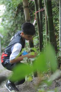 BIB: 
                            <button type="button" onclick="openModal(6876231)" class="btn btn-primary btn-sm float-right btn-popup" data-toggle="modal" data-target=".modal-high-quality">
                        <i class="fas fa-shopping-cart"></i> Add to Cart
                    </button>
                                            <button type="button" onclick="isThisMe(6876231, true)" class="btn btn-success btn-sm float-right btn-popup btn-isme hidden" data-toggle="tooltip" data-placement="bottom" title="นี่คือรูปของคุณใช่ไหม คลิกที่นี่เพื่อเอาเข้าอัลบั้ม">
                        <i class="fas fa-plus"></i> Add to album
                    </button>
                    <button type="button" onclick="isThisMe(6876231, false)" class="btn btn-warning btn-sm float-right btn-popup btn-isnotme hidden">
                        <i class="fas fa-ban"></i> Remove from album
                    </button>