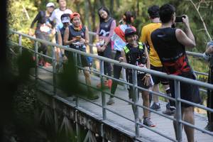 BIB: 
                            <button type="button" onclick="openModal(6876703)" class="btn btn-primary btn-sm float-right btn-popup" data-toggle="modal" data-target=".modal-high-quality">
                        <i class="fas fa-shopping-cart"></i> Add to Cart
                    </button>
                                            <button type="button" onclick="isThisMe(6876703, true)" class="btn btn-success btn-sm float-right btn-popup btn-isme hidden" data-toggle="tooltip" data-placement="bottom" title="นี่คือรูปของคุณใช่ไหม คลิกที่นี่เพื่อเอาเข้าอัลบั้ม">
                        <i class="fas fa-plus"></i> Add to album
                    </button>
                    <button type="button" onclick="isThisMe(6876703, false)" class="btn btn-warning btn-sm float-right btn-popup btn-isnotme hidden">
                        <i class="fas fa-ban"></i> Remove from album
                    </button>