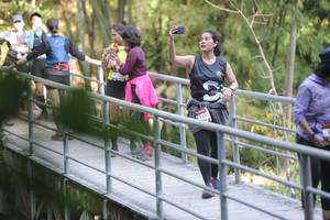 BIB: 1592
                            <button type="button" onclick="openModal(6876770)" class="btn btn-primary btn-sm float-right btn-popup" data-toggle="modal" data-target=".modal-high-quality">
                        <i class="fas fa-shopping-cart"></i> Add to Cart
                    </button>
                                            <button type="button" onclick="isThisMe(6876770, true)" class="btn btn-success btn-sm float-right btn-popup btn-isme hidden" data-toggle="tooltip" data-placement="bottom" title="นี่คือรูปของคุณใช่ไหม คลิกที่นี่เพื่อเอาเข้าอัลบั้ม">
                        <i class="fas fa-plus"></i> Add to album
                    </button>
                    <button type="button" onclick="isThisMe(6876770, false)" class="btn btn-warning btn-sm float-right btn-popup btn-isnotme hidden">
                        <i class="fas fa-ban"></i> Remove from album
                    </button>