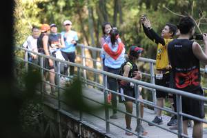 BIB: 11692
                            <button type="button" onclick="openModal(6876702)" class="btn btn-primary btn-sm float-right btn-popup" data-toggle="modal" data-target=".modal-high-quality">
                        <i class="fas fa-shopping-cart"></i> Add to Cart
                    </button>
                                            <button type="button" onclick="isThisMe(6876702, true)" class="btn btn-success btn-sm float-right btn-popup btn-isme hidden" data-toggle="tooltip" data-placement="bottom" title="นี่คือรูปของคุณใช่ไหม คลิกที่นี่เพื่อเอาเข้าอัลบั้ม">
                        <i class="fas fa-plus"></i> Add to album
                    </button>
                    <button type="button" onclick="isThisMe(6876702, false)" class="btn btn-warning btn-sm float-right btn-popup btn-isnotme hidden">
                        <i class="fas fa-ban"></i> Remove from album
                    </button>