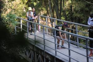 BIB: 
                            <button type="button" onclick="openModal(6876645)" class="btn btn-primary btn-sm float-right btn-popup" data-toggle="modal" data-target=".modal-high-quality">
                        <i class="fas fa-shopping-cart"></i> Add to Cart
                    </button>
                                            <button type="button" onclick="isThisMe(6876645, true)" class="btn btn-success btn-sm float-right btn-popup btn-isme hidden" data-toggle="tooltip" data-placement="bottom" title="นี่คือรูปของคุณใช่ไหม คลิกที่นี่เพื่อเอาเข้าอัลบั้ม">
                        <i class="fas fa-plus"></i> Add to album
                    </button>
                    <button type="button" onclick="isThisMe(6876645, false)" class="btn btn-warning btn-sm float-right btn-popup btn-isnotme hidden">
                        <i class="fas fa-ban"></i> Remove from album
                    </button>